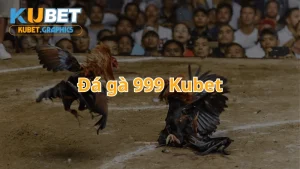 Đá gà 999 tại Kubet